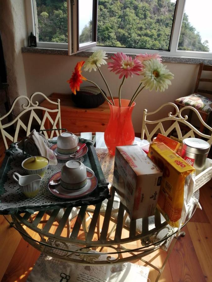 La Casa Della Cindy Villa Дервио Екстериор снимка